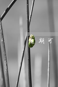 逾期可用的网贷 逾期可用的网贷