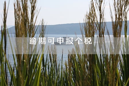 逾期可申报个税 逾期可申报个税