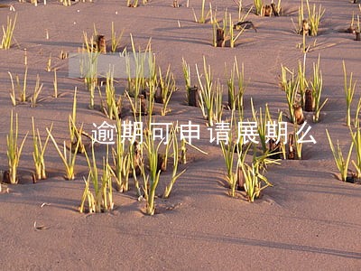 逾期可申请展期么