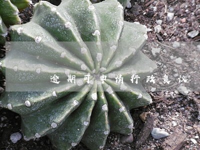 逾期可申请行政复议 逾期可申请行政复议