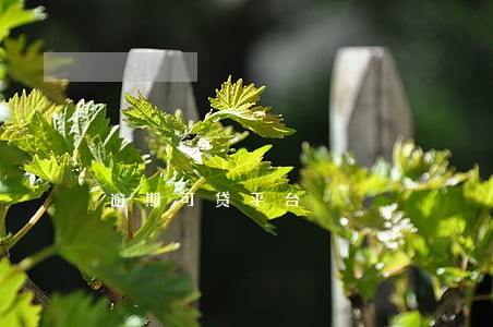 逾期可贷平台 逾期可贷平台
