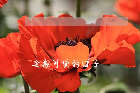 逾期可贷的口子 逾期可贷的口子