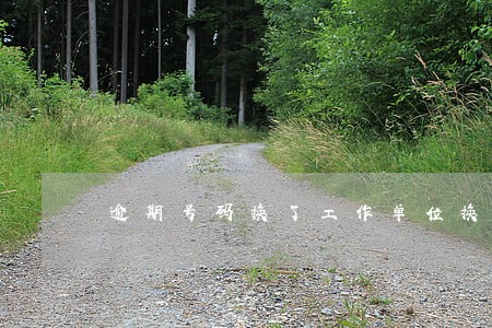 逾期号码换了工作单位换了 逾期号码换了工作单位换了