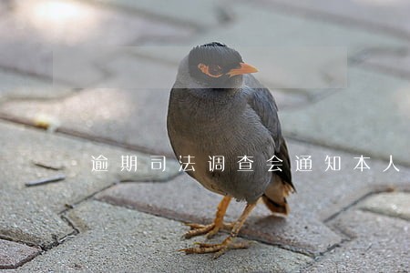 逾期司法调查会通知本人吗 逾期司法调查会通知本人吗