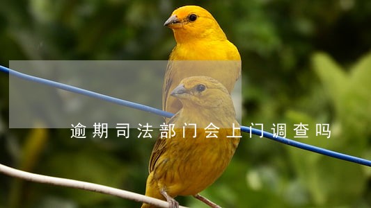 逾期司法部门会上门调查吗 逾期司法部门会上门调查吗