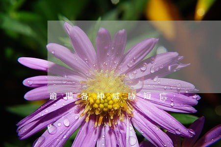 逾期各种威胁短信 逾期各种威胁短信
