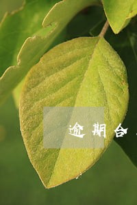 逾期合同书 逾期合同书