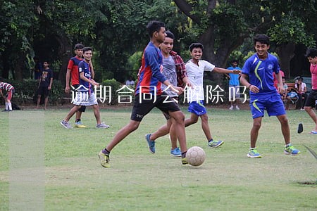 逾期合同会解除吗 逾期合同会解除吗