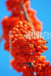 逾期合同几年作废 逾期合同几年作废