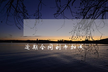逾期合同利率加成 逾期合同利率加成