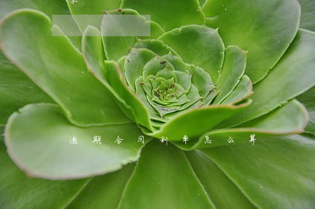 逾期合同利率怎么算 逾期合同利率怎么算