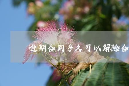 逾期合同多久可以解除合同 逾期合同多久可以解除合同
