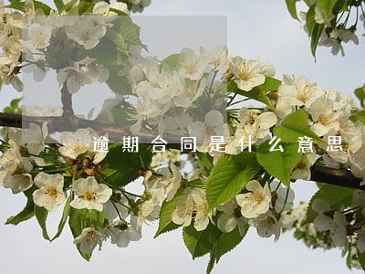 逾期合同是什么意思 逾期合同是什么意思