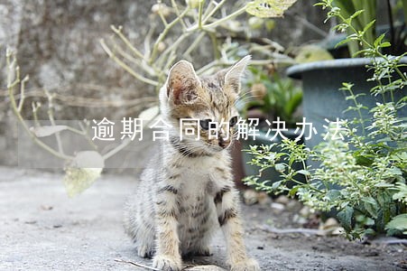 逾期合同的解决办法 逾期合同的解决办法