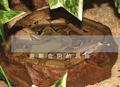 逾期合同的风险 逾期合同的风险