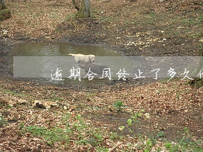 逾期合同终止了多久催收 逾期合同终止了多久催收