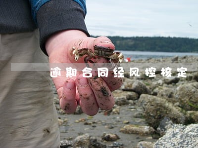 逾期合同经风控核定