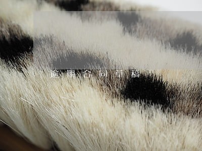 逾期合同草稿 逾期合同草稿