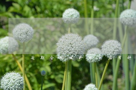 逾期合同被终止之后有什么后果 逾期合同被终止之后有什么后果
