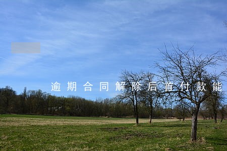 逾期合同解除后首付款能退吗