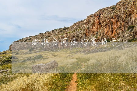 逾期合同违约案将于
