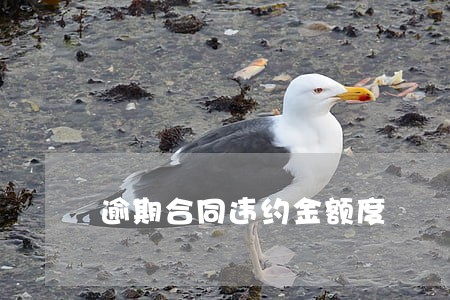 逾期合同违约金额度 逾期合同违约金额度