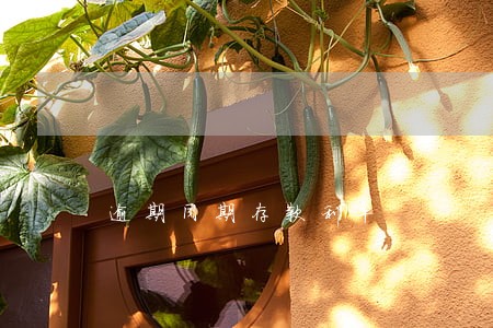 逾期同期存款利率 逾期同期存款利率