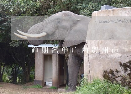 逾期名单广西贺州市