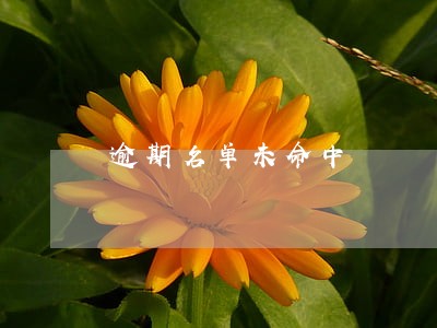 逾期名单未命中 逾期名单未命中