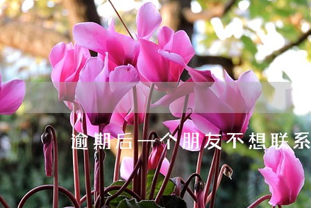 逾期后一个朋友不想联系 逾期后一个朋友不想联系