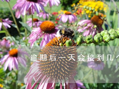 逾期后一天会接到几个电话 逾期后一天会接到几个电话