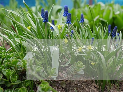 逾期后一定要知道的五个常识