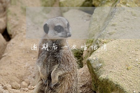 逾期后一次性结清 逾期后一次性结清