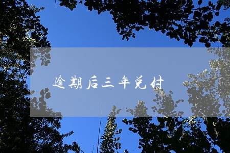 逾期后三年兑付 逾期后三年兑付