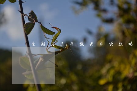 逾期后三年能买车贷款吗 逾期后三年能买车贷款吗