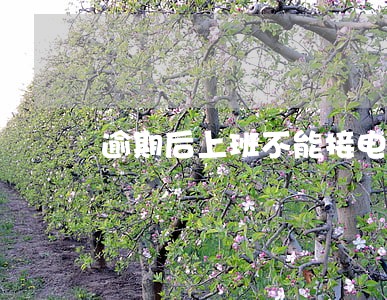 逾期后上班不能接电话 逾期后上班不能接电话