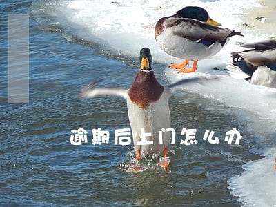 逾期后上门怎么办