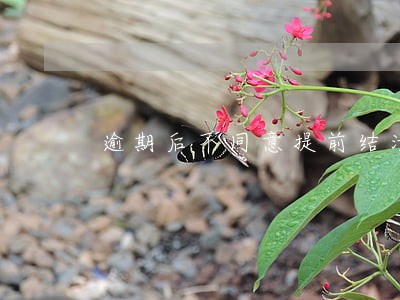 逾期后不同意提前结清