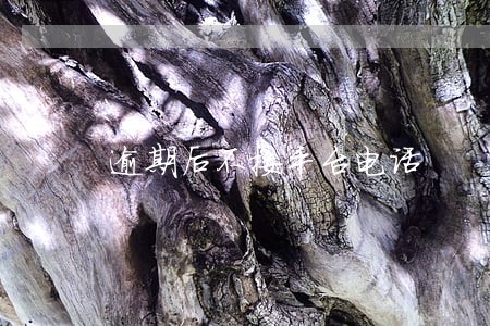 逾期后不接平台电话