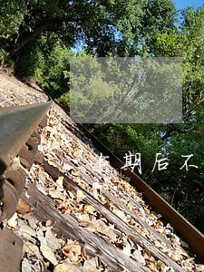 逾期后不接电话多久才算失联