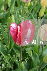 逾期后不给协商怎么办 逾期后不给协商怎么办