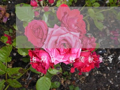 逾期后不能借款要等多久 逾期后不能借款要等多久