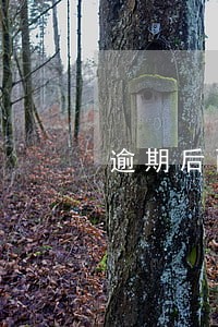 逾期后两天可以解冻 逾期后两天可以解冻
