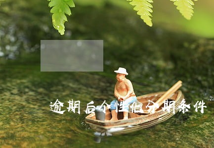 逾期后个性化分期条件 逾期后个性化分期条件
