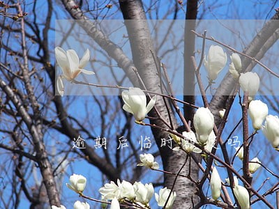 逾期后临时额度吗 逾期后临时额度吗