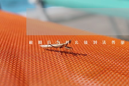 逾期后为什么接到法务部电话 逾期后为什么接到法务部电话