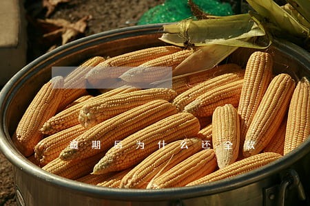逾期后为什么还全款 逾期后为什么还全款