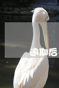 逾期后么产生利息吗 逾期后么产生利息吗