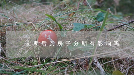 逾期后买房子分期有影响吗 逾期后买房子分期有影响吗