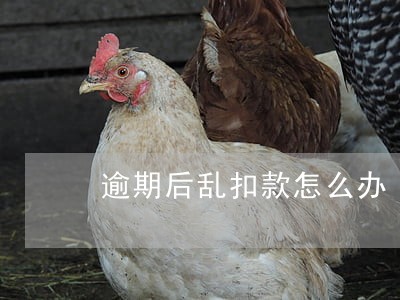 逾期后乱扣款怎么办 逾期后乱扣款怎么办